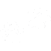 Puppy & Kitten Care